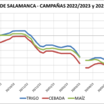 Lonja de Salamanca – 27/06/2023