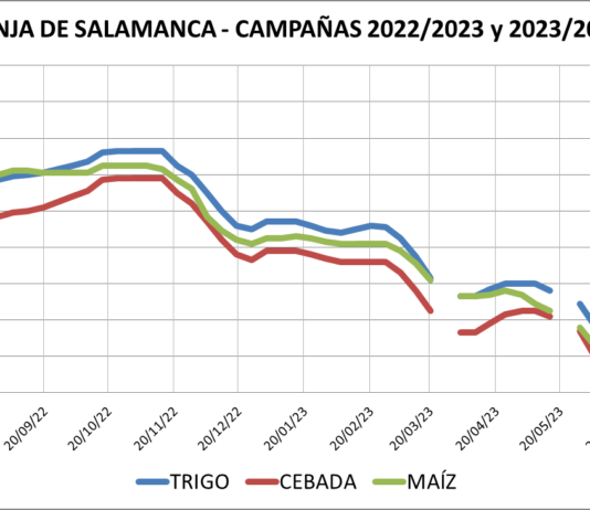 Lonja de Salamanca – 27/06/2023