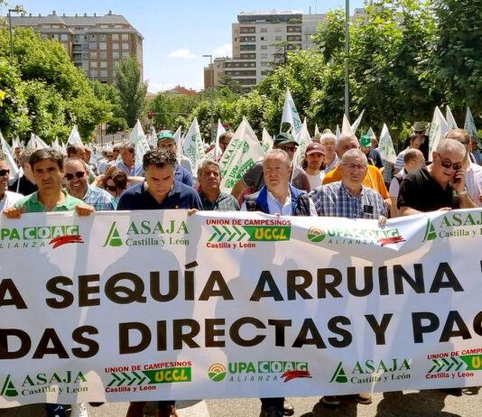 El campo palentino se une a la manifestación en Valladolid para pedir ayudas públicas por la sequía