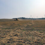 El Ministerio anuncia que Agroseguro empieza a abonar la ayuda especial al seguro por sequía