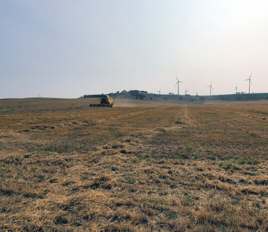 El Ministerio anuncia que Agroseguro empieza a abonar la ayuda especial al seguro por sequía