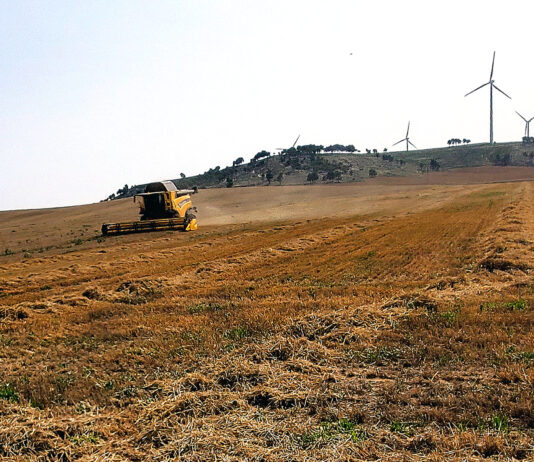 El Ministerio fija en 22,5 €/ha su ayuda máxima por sequía en Palencia para herbáceos de secano