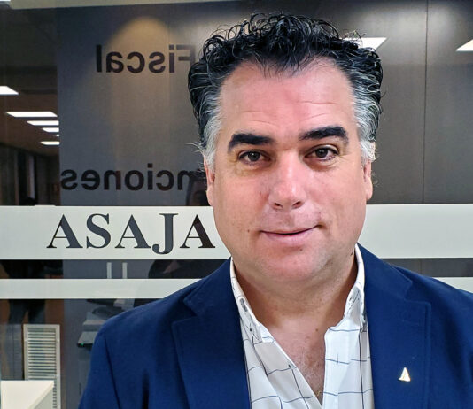 Activos ante los riesgos