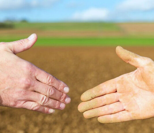 La inscripción de operaciones en el Registro de Contratos Alimentarios ya es obligatoria