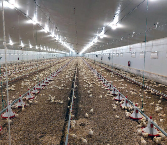 El Parlamento Europeo rechaza extender la Directiva sobre Emisiones Industriales a más ganadería