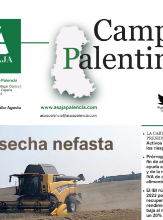 Campo Palentino | Julio-Agosto 2023