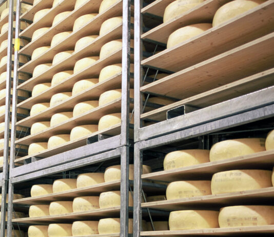 Desarrollan un método eficaz para cuantificar tipos de leche en los quesos de mezcla y evitar fraudes