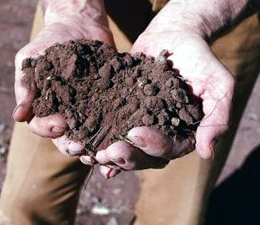 El FEGA publica una nueva lista de beneficiarios de ayudas al fertilizante a los que aceptó sus alegaciones