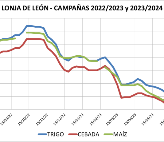 Lonja de León – 05/07/2023