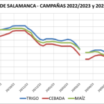 Lonja de Salamanca – 31/07/2023