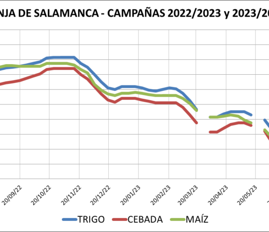 Lonja de Salamanca – 31/07/2023
