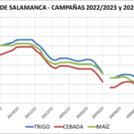Lonja de Salamanca – 10/07/2023