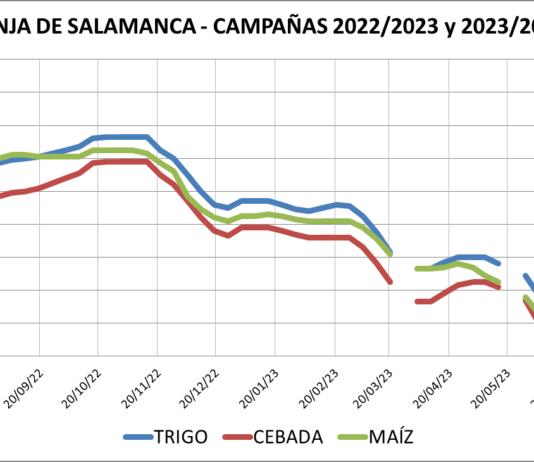 Lonja de Salamanca – 10/07/2023