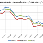 Lonja de León – 12/07/2023