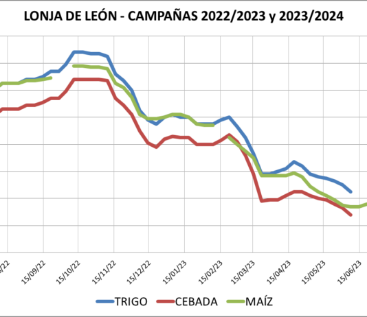 Lonja de León – 19/07/2023