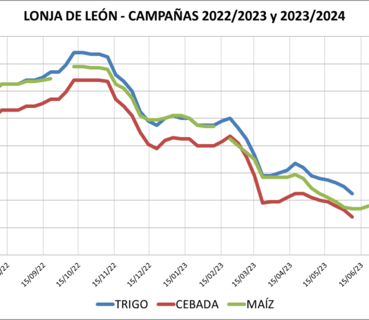 Lonja de León – 26/07/2023