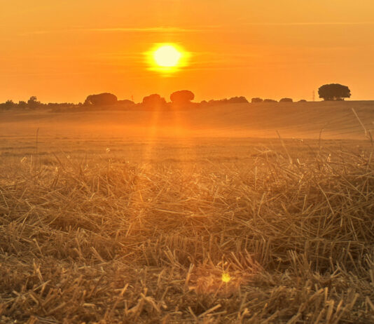 La Junta publica las bases de sus ayudas a los intereses de los préstamos por la sequía