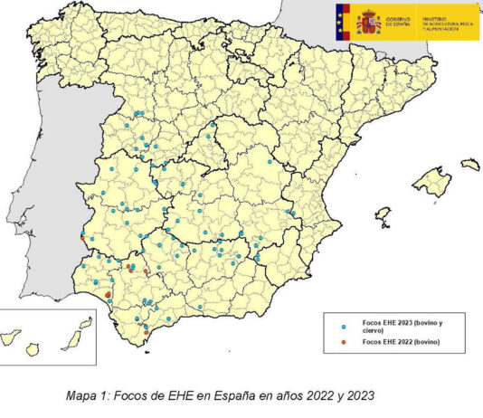 Palencia sigue libre de restricciones pese a crecer los casos de enfermedad hemorrágica epizoótica