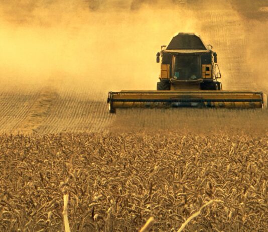 El 29 de septiembre acaba el plazo para solicitar el derecho a préstamos preferenciales por la sequía