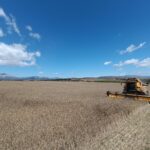 Cosecha verano (c) Cesar Villanueva Montoto Ojeda