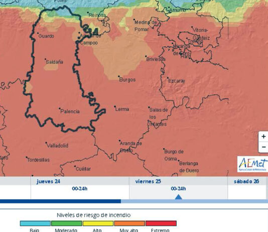 La Junta amplía hasta el viernes 25 la alerta de riesgo de incendios forestales