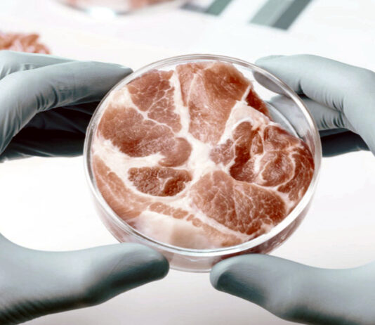 «No farmer, no food». ¿O sí?