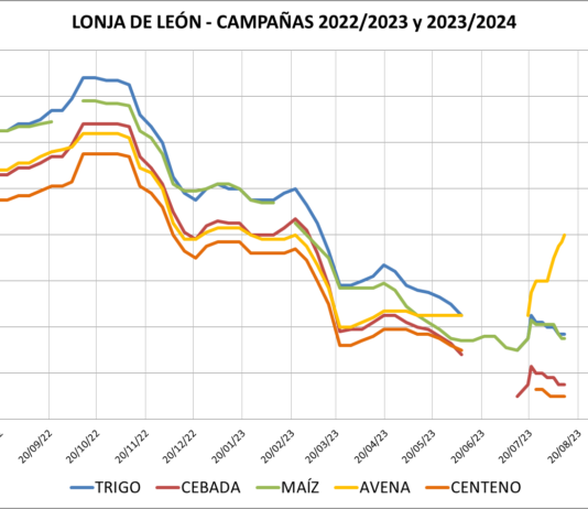 Lonja de León – 11/08/2023