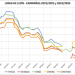 Lonja de León – 14/08/2023