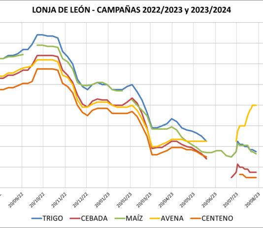 Lonja de León – 14/08/2023