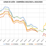 Lonja de León – 16/08/2023