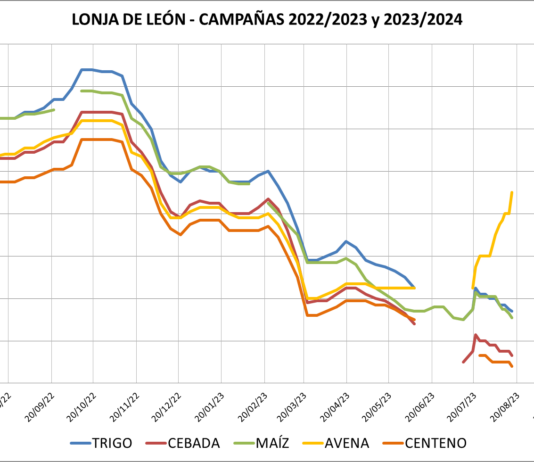 Lonja de León – 16/08/2023