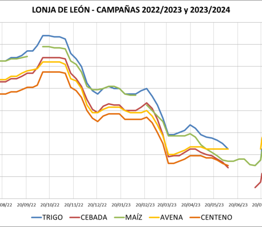 Lonja de León – 23/08/2023