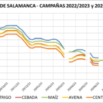 Lonja de Salamanca – 28/08/2023