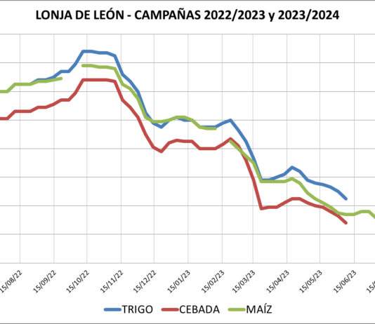 Lonja de León – 02/08/2023