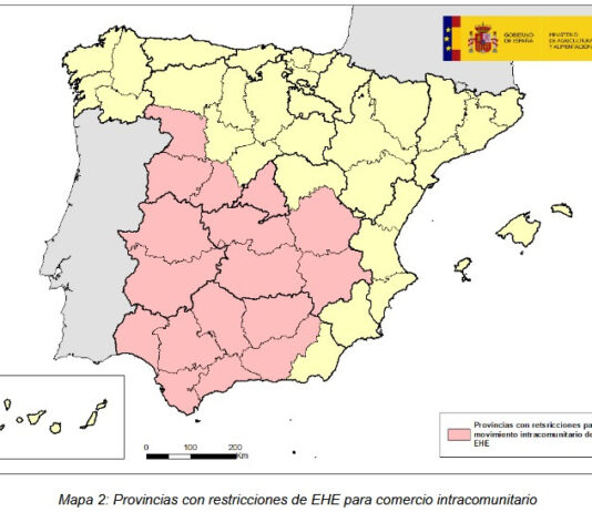 ASAJA critica la falta de interlocución y de capacidad de reacción de la Consejería ante la eclosión de la Enfermedad Hemorrágica Epizoótica
