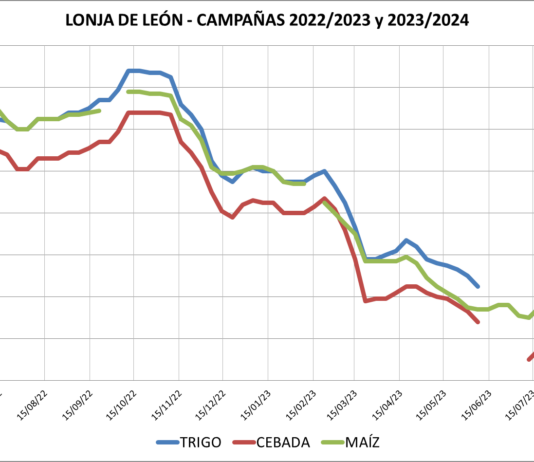 Lonja de León – 07/08/2023