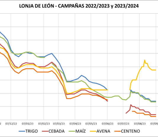 Lonja de León – 06/09/2023