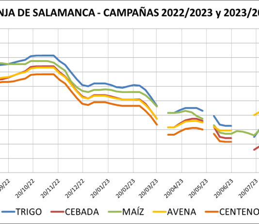 Lonja de Salamanca – 04/09/2023