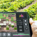 La Junta reajusta las anualidades de las ayudas de 2022 a la agricultura de precisión y tecnologías 4.0