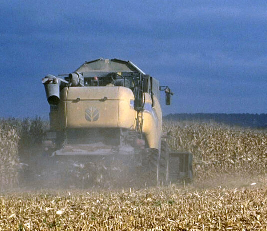 El precio del cereal sigue a la baja y el maíz retoma su cotización por un tercio menos que hace un año