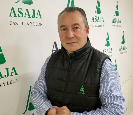 Alguien gana, pero no el agricultor