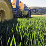 FITOSANITARIOS-HERBICIDA-TR