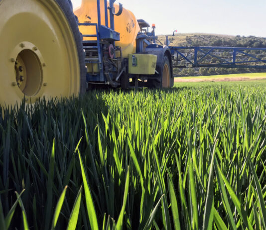 Los eurodiputados de izquierda y los verdes fracasan en su intento de vetar el uso del herbicida glifosato