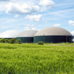 Ayudas ambientales a empresas de transformación y comercialización agrarias, silvícolas y alimentarias