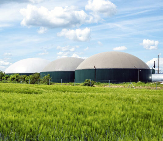 Ayudas ambientales a empresas de transformación y comercialización agrarias, silvícolas y alimentarias