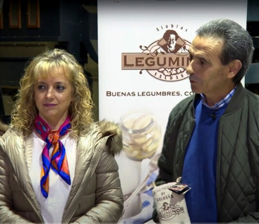 Campo Palentino | 26 de octubre de 2023