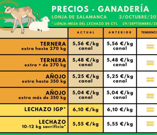 Estancamiento en la cotización del vacuno de carne (Lonja de Salamanca) y del lechazo (Mesa de CyL)