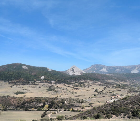 La cotización de terneras y añojos no se mueve esta semana en la Lonja de Salamanca