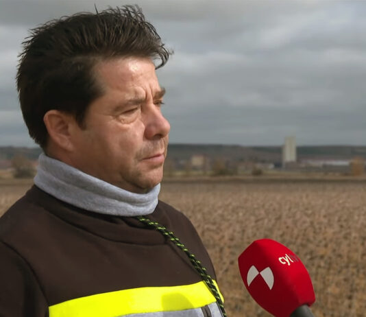 Campo Palentino | 16/noviembre/2023