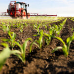 La Comisión Europea aprueba el reglamento que autoriza el uso del glifosato hasta diciembre de 2033